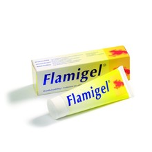 Medium_flamigel